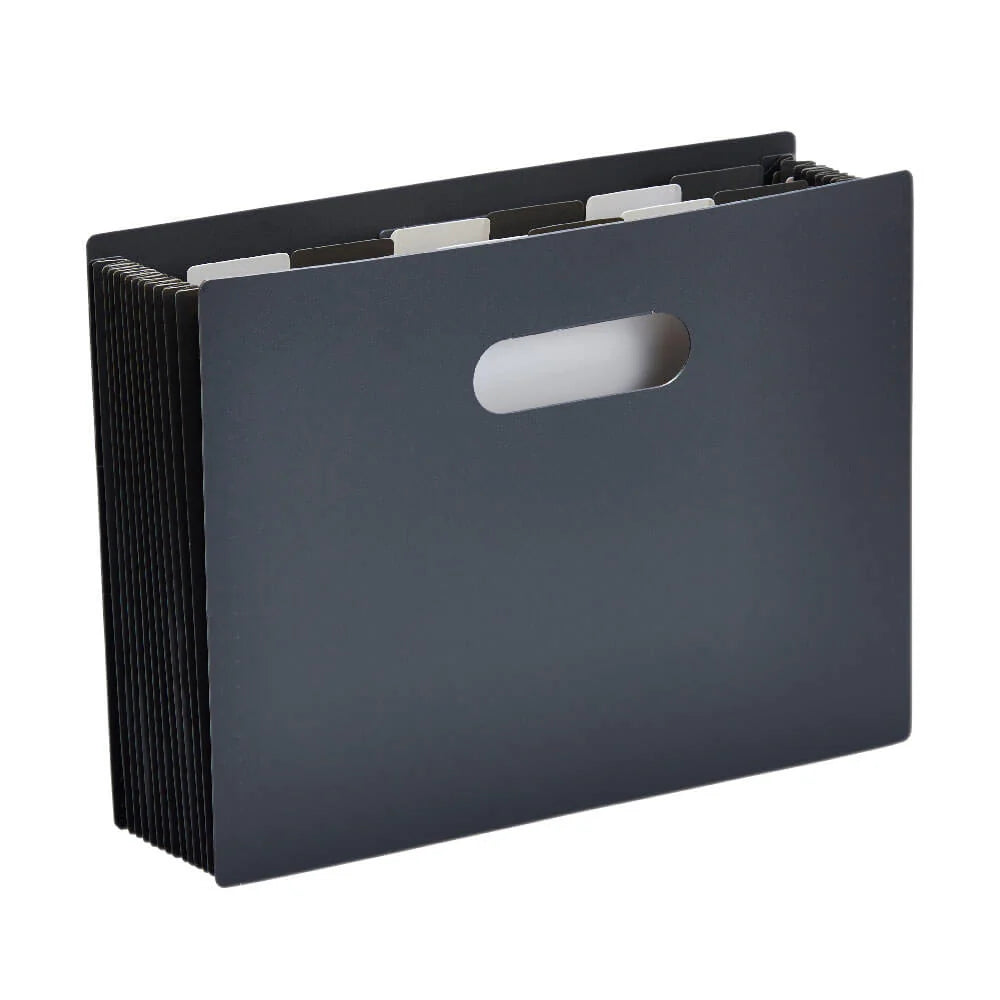 Expandable Document Organizer File for A4