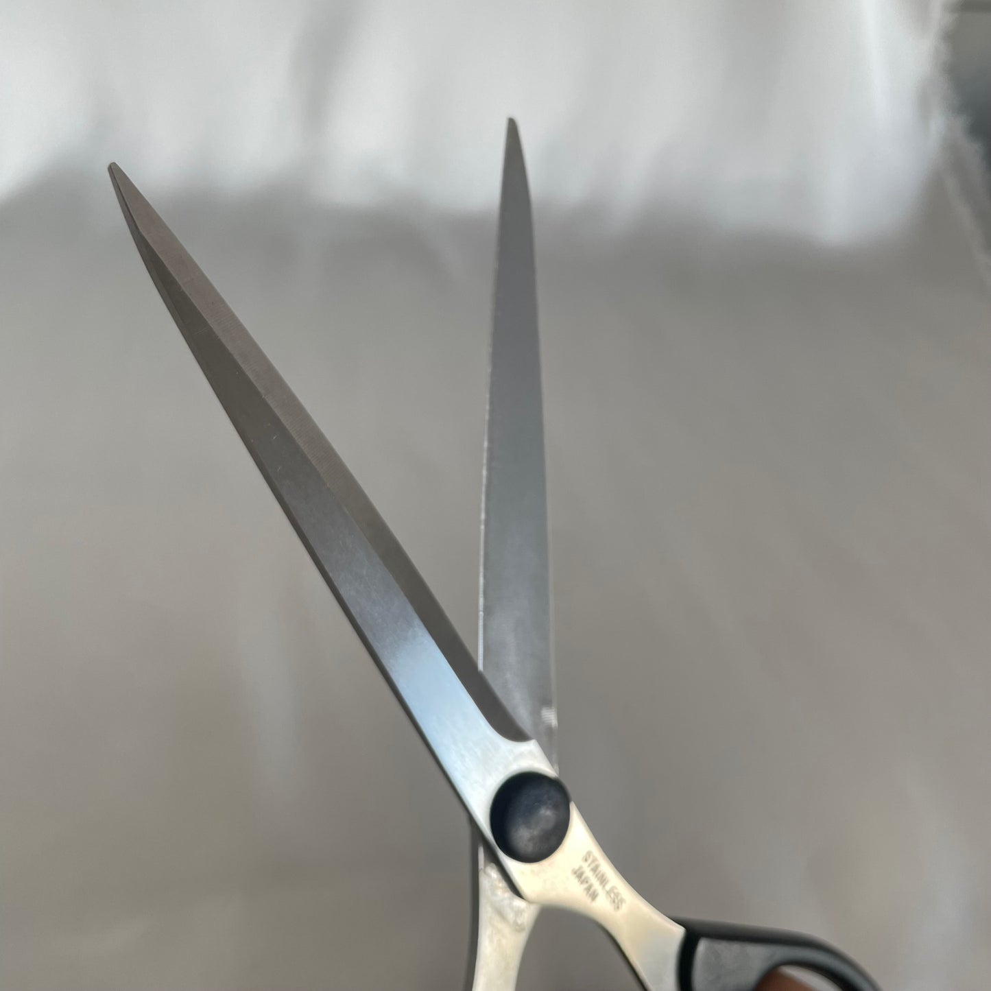 Non-Stick Scissors long sharp blade type from Hasegawa Cutlery